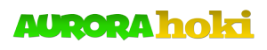 aurorahoki